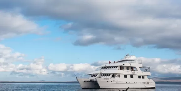 Cruise the Galapagos on the Seaman Journey ship