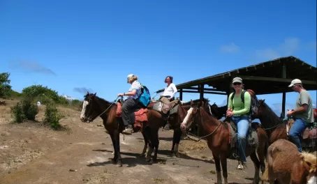 Horseback riding around Isabela Island in the Galapagos