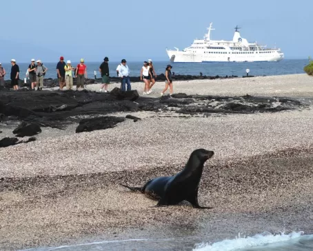 Cruise the Galapagos on the Legend ship