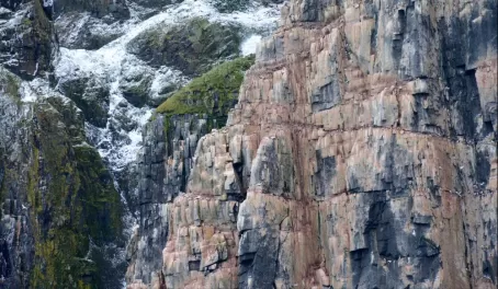 Bird cliffs of Alkefjellet.