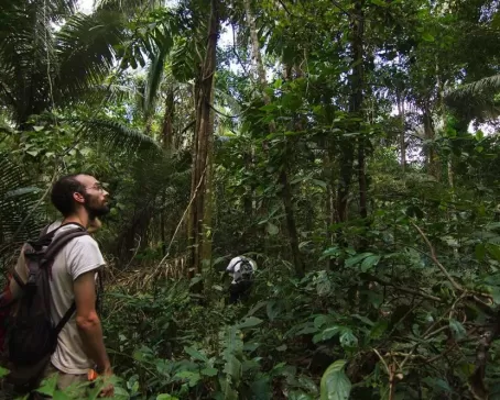 Exploring the rainforest at Romero Lodge