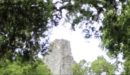 Tikal towering over the treeline