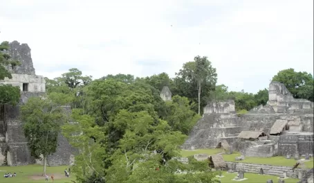 The main plaza at Tikal