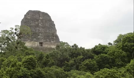 The famous Tikal temple used in the filming of Star Wars