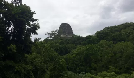 Tikal from afar