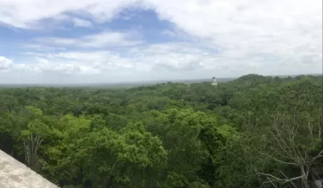 Finally made it to the top of Temple IV at Tikal
