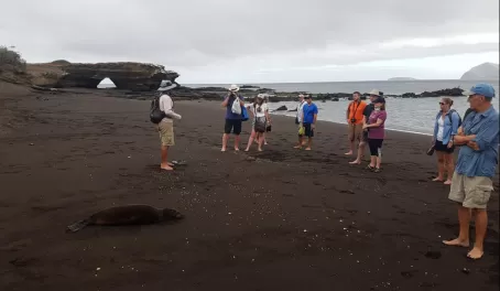 Photographing Sea Lions, Galapagos