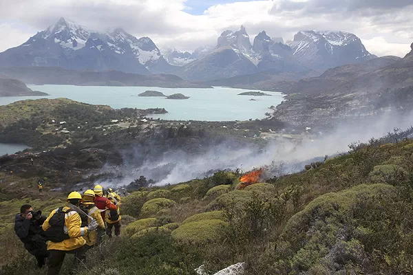 Since 1985, over 1/5 of Torres del Paine National Park's 242,000 acres have been ravaged by man-made fires