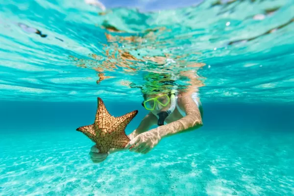 Snorkeling in the Caribbean with a starfish