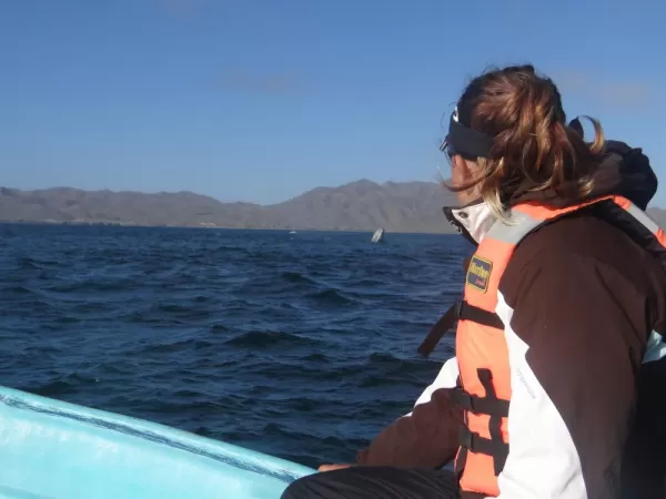Guide spotting a grey whale Magdalena Bay