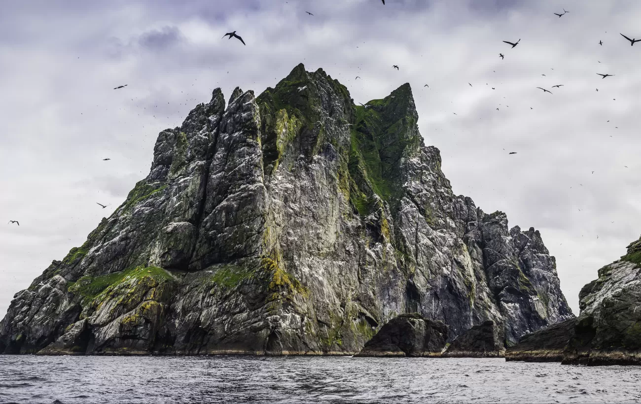 Seabirds flying over dramatic ocean island cliffs St Kilda