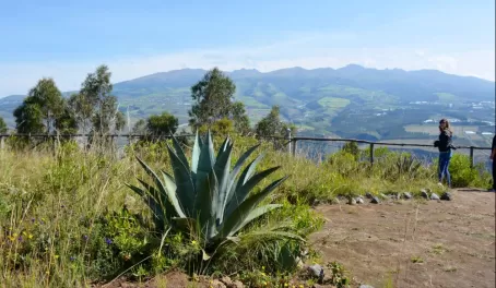 Agave plant with a view of the surrounding mountains.