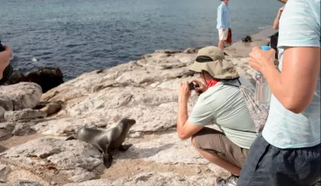 Snapping shots of baby sea lions!