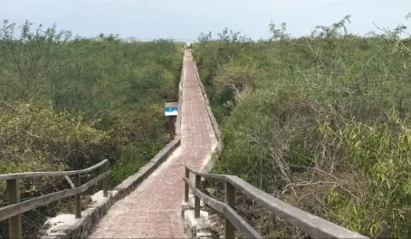 The path leading to Tortuga Bay.