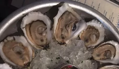 Oysters, Cape Town