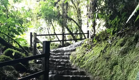 The stairs to Pailon del Diablo (Devil's Cauldron)