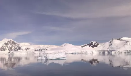 Amazing reflections - even of the icebergs!