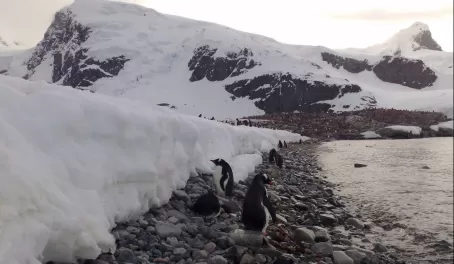 Beautiful Antarctica