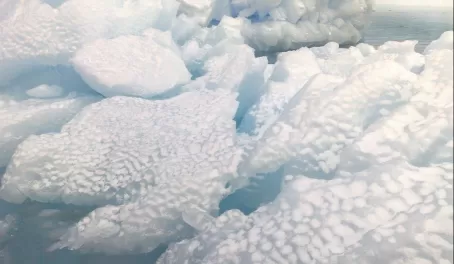 Fresh snow on the icebergs