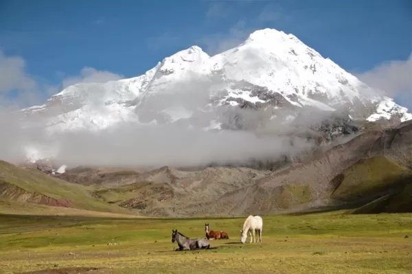 Ausangate landscape with horses