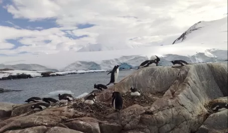 Beautiful, unforgettable Antarctica
