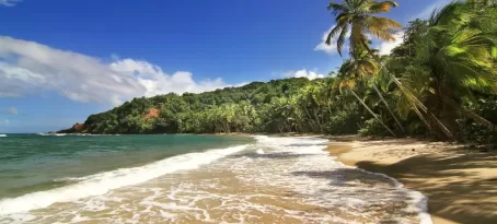 Beautiful beach in Dominica