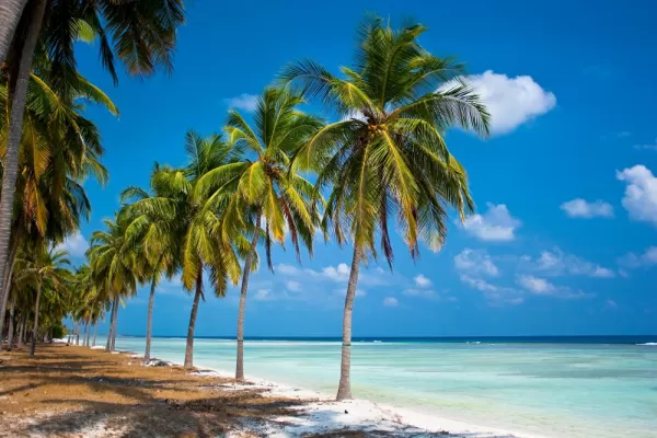 Enjoy the beauty of the Lakshadweep Islands