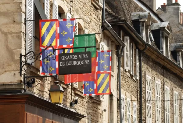Burgundy flags