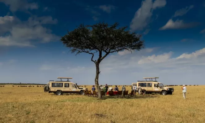 Guests enjoying a bush brunch in the Serengeti