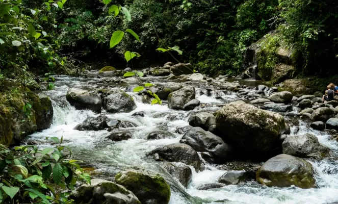 River in Mindo, Ecuador