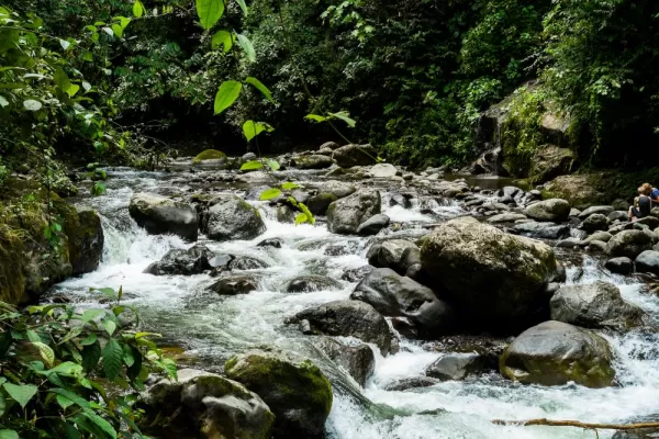 River in Mindo, Ecuador