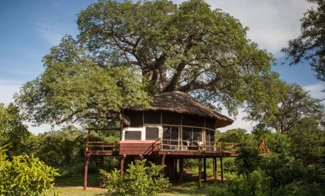 Tarangire Treetops Lodge