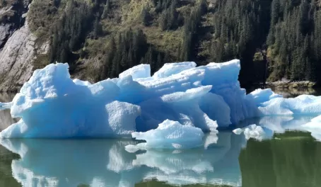 Icebergs everywhere in Tracy Arm Ford