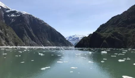 Icebergs everywhere in Tracy Arm Ford