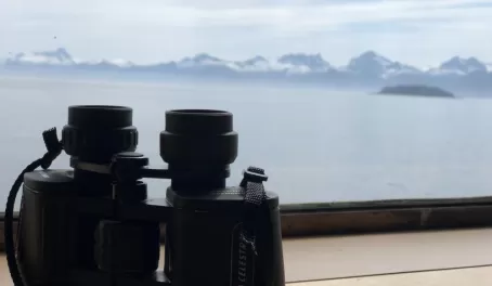 View from a lounge window. Binoculars were always handy in case of a wildlife sighting.