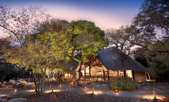 Experience the serenity of Ngala Safari Lodge