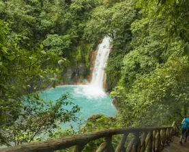Discover stunning waterfalls in the jungle