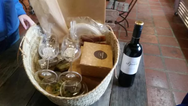 Spier Winery Picnic Stellenboch