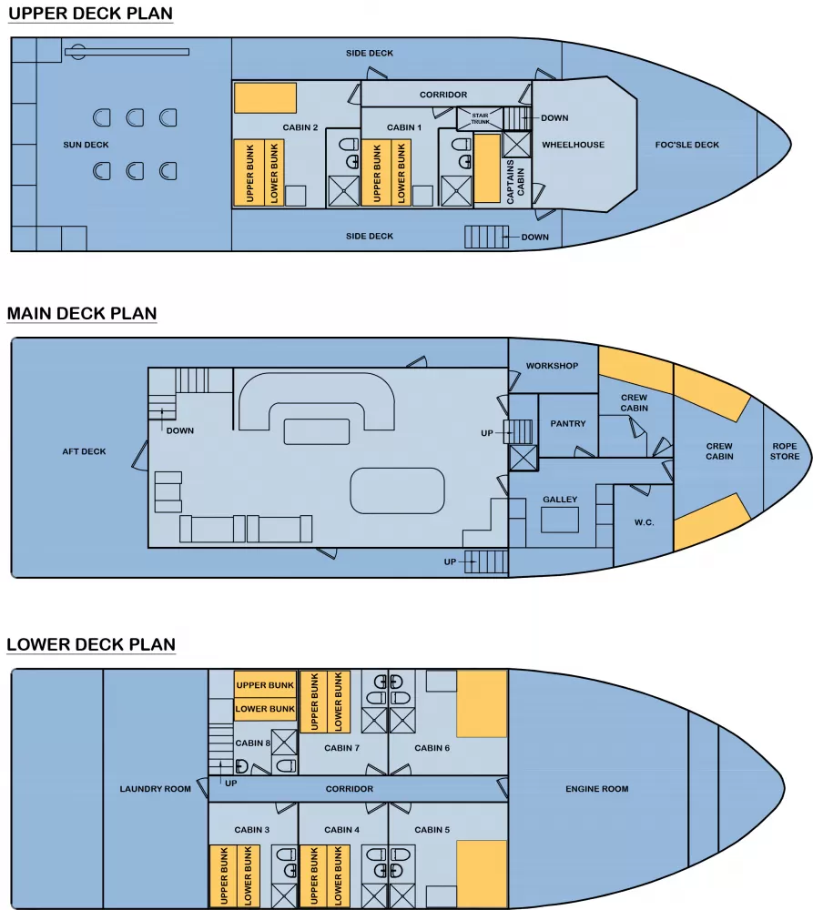 Cachalote Explorer, Deck Plan