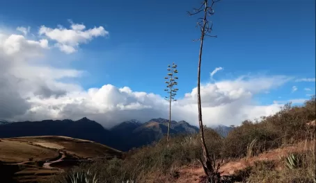 Moray vistas with tall agave plant blossoms