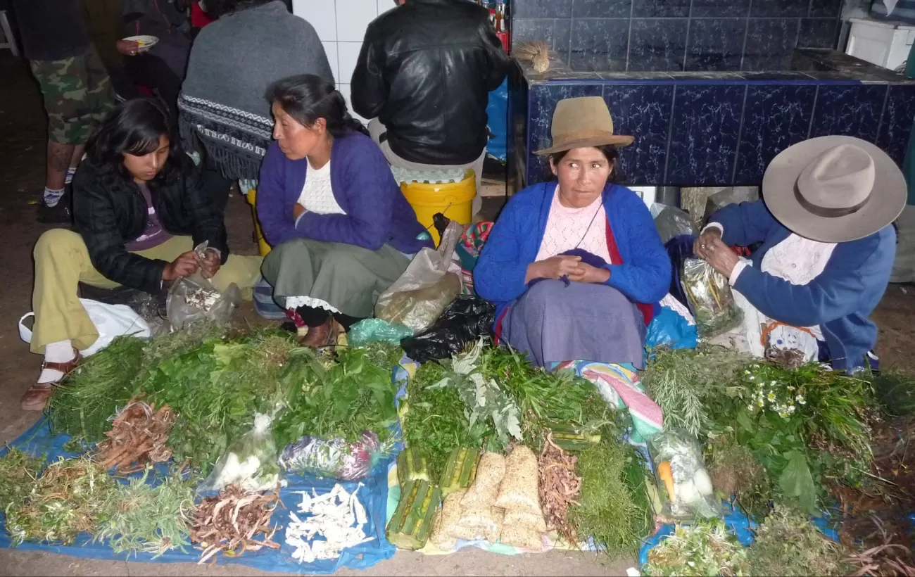 Indigenous women selling medicinal plants at San Pedro marke