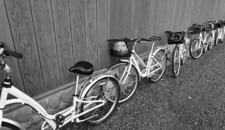 Bikes in black and white