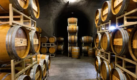 Into the wine caves