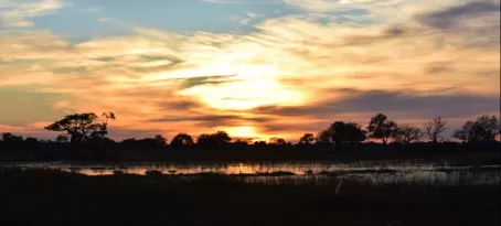 Beautiful Botswanan sunset