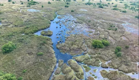 Okavango Delta from above