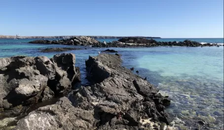Genovesa: Darwin Bay