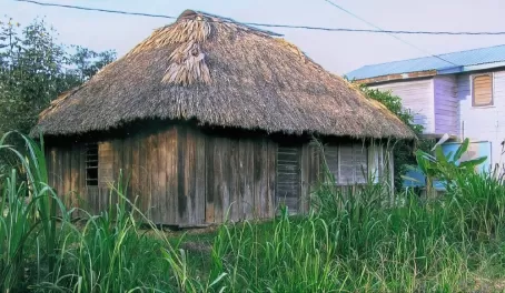 Palm thatch roof house in Hopkins