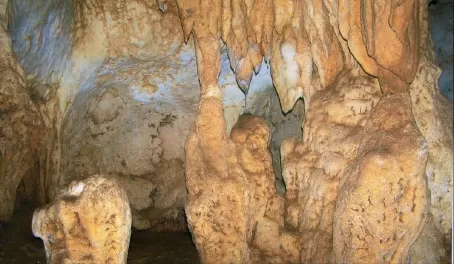 Stalactites and stalagmites in Caves Branch