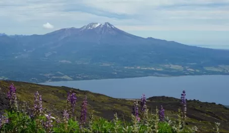 Views from Osorno Volcano