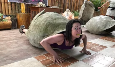 Be a tortoise? If you insist!